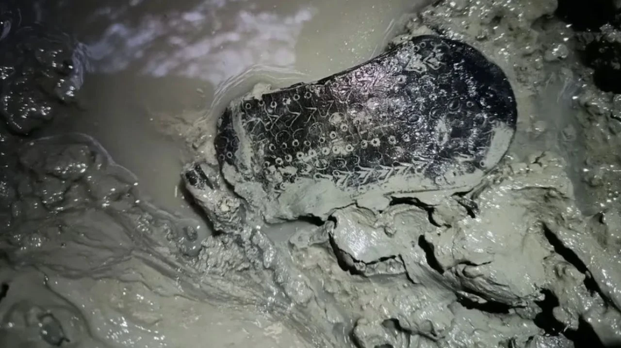 Arkeolojik kazılarda keşfedilen 12 antik ayakkabı! 6 bin yıldan eski çimen sandaleti hâlâ sağlam - 4. Resim