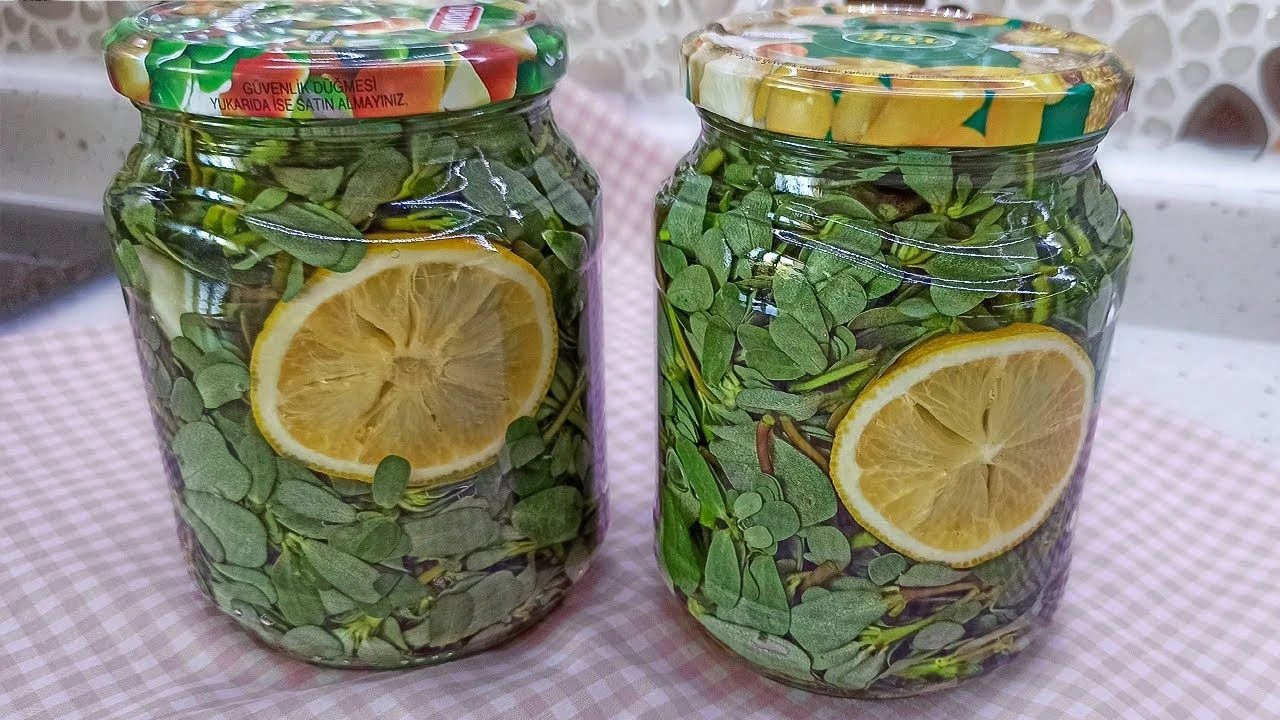 İbn-i Sina'nın şifa kitabında övdüğü semizotu kalbin ilacı çıktı! Turşusu bağımlılık yapıyor - 2. Resim