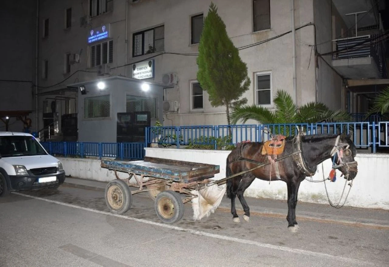 Alkol alarak at arabasıyla trafiği tehlike soktu: Para cezası yağdı! - 1. Resim
