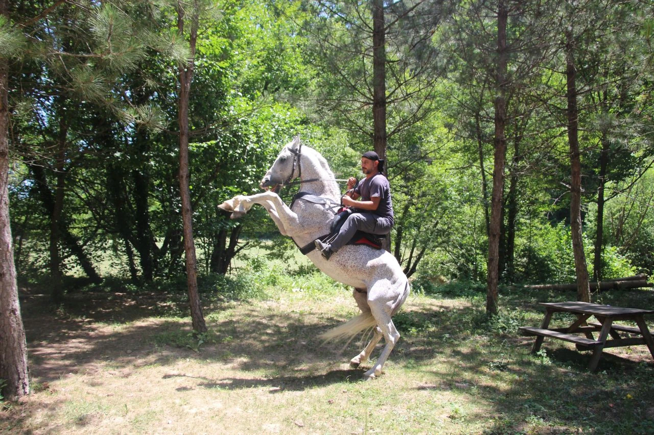 "Allah" deyince şaha kalkan at sosyal medyayı salladı - 1. Resim