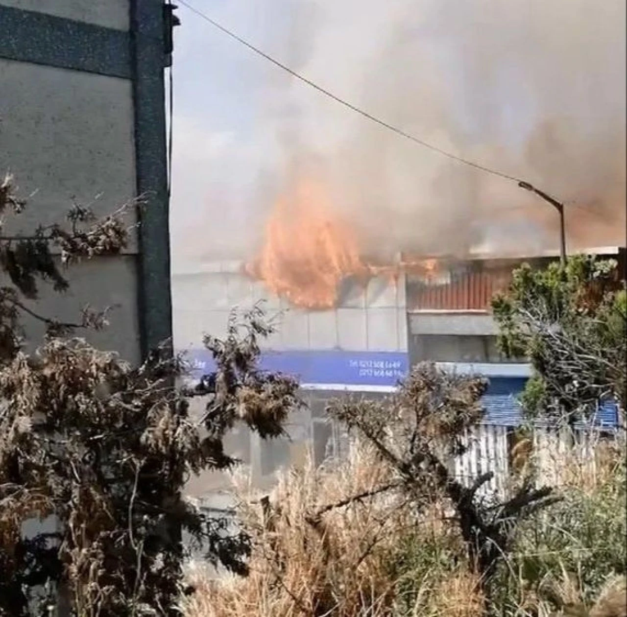 SON DAKİKA | İstanbul'da korkutan yangın! İş yerinin çatısı alevlere teslim oldu