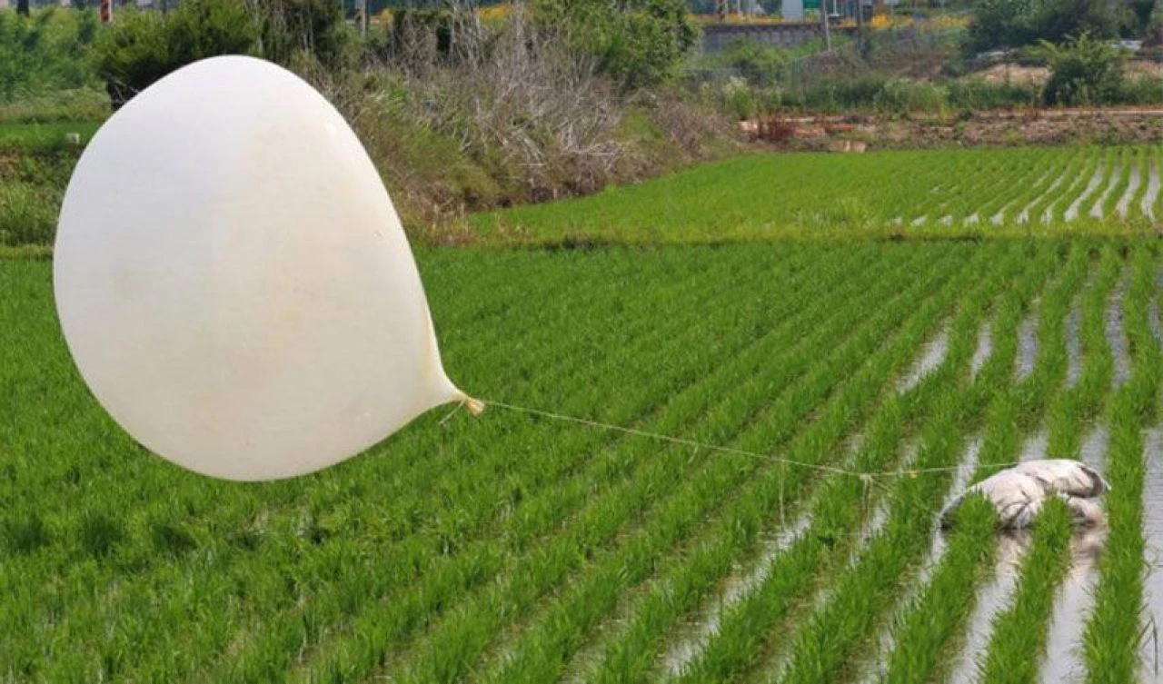 Kuzey Kore çöp balonlarıyla amacına ulaşıyor! Güney Kore'de ortalık karıştı