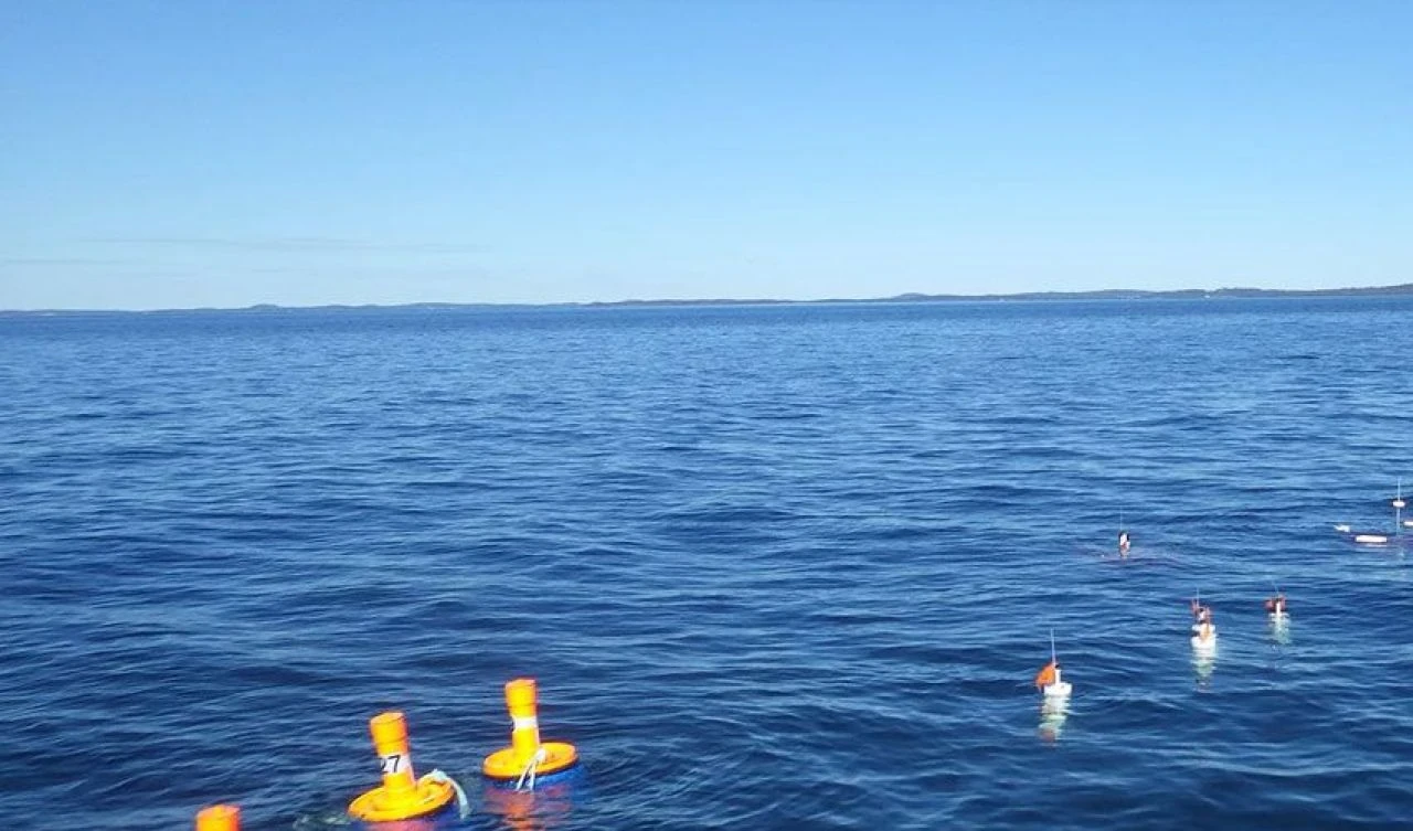 Şişeyle denize atılan mesaj 63 yıl sonra kıyıya vurdu! Bulana içinde ödül vardı - 1. Resim