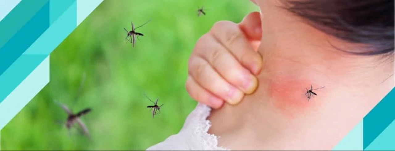 Yaz ayları kâbusa dönmesin! Sinekkovucu spreylerde büyük tehlike - 3. Resim