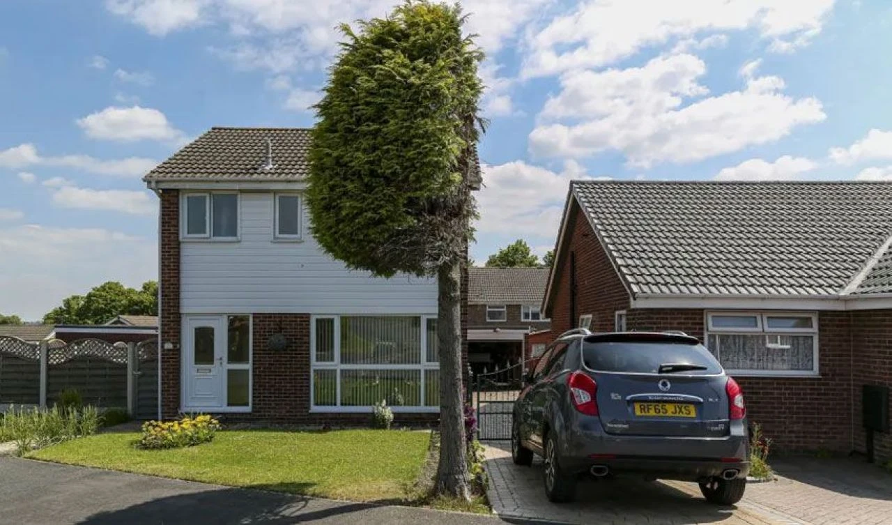 İki komşunun kavgası bir ağacı turistik cazibe merkezine çevirdi! Google bile yer etiketini değiştirdi - 3. Resim