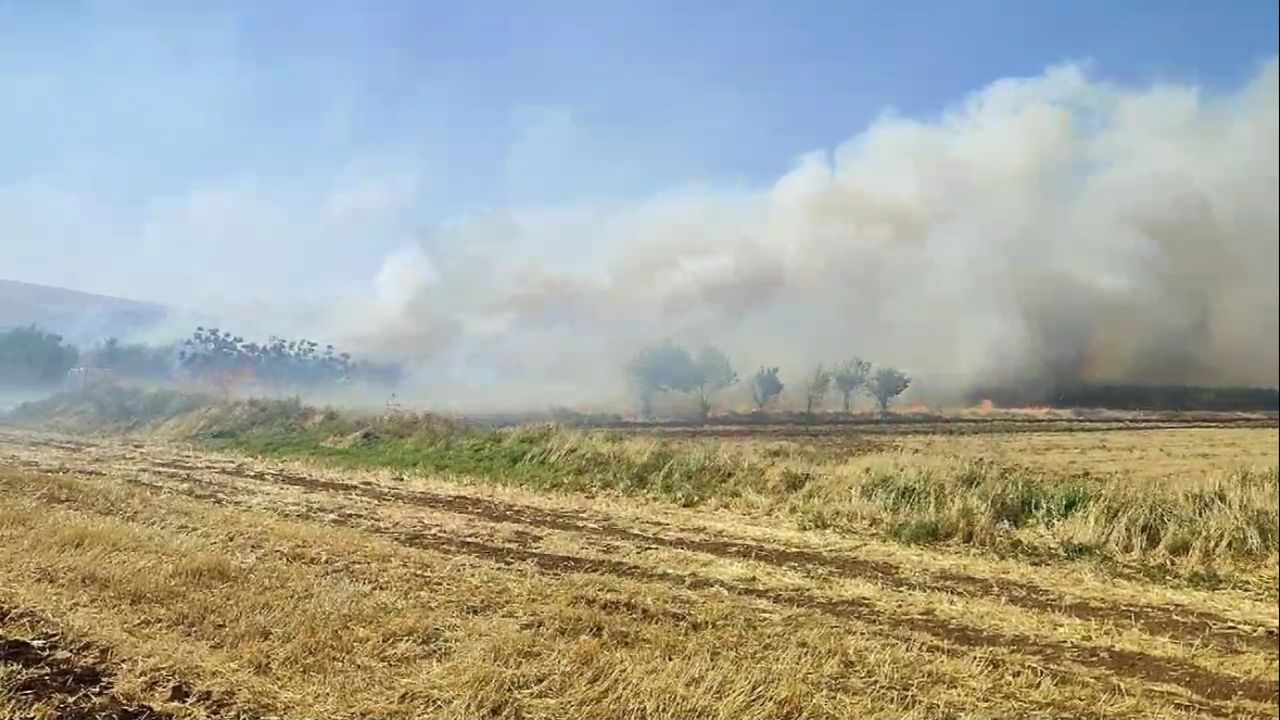 Mardin&#039;in Nusaybin ilçesine bağlı Yandere bölgesinde çıkan yangını söndürme çalışmaları devam ediyor