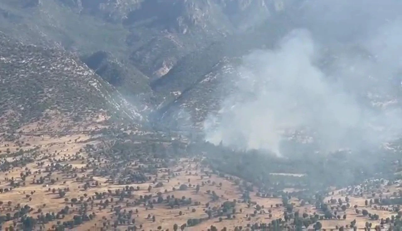Milli Savunma Bakanlığı duyurdu: PKK'lı teröristler orman yakıyor - 1. Resim