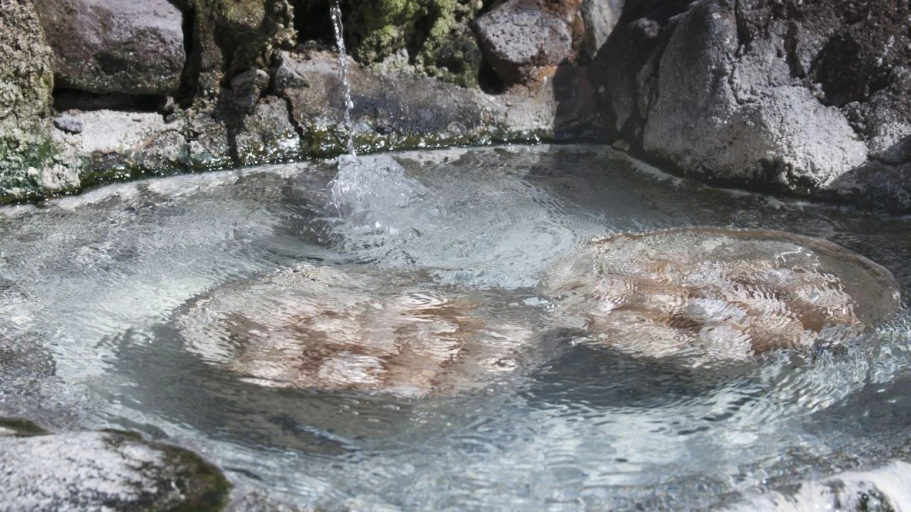 Vücudundaki dev ve derin yaralarla yıllarca yaşadı! Tedavisi olmayan hastalık termal suyla 20 günde geçti - 2. Resim
