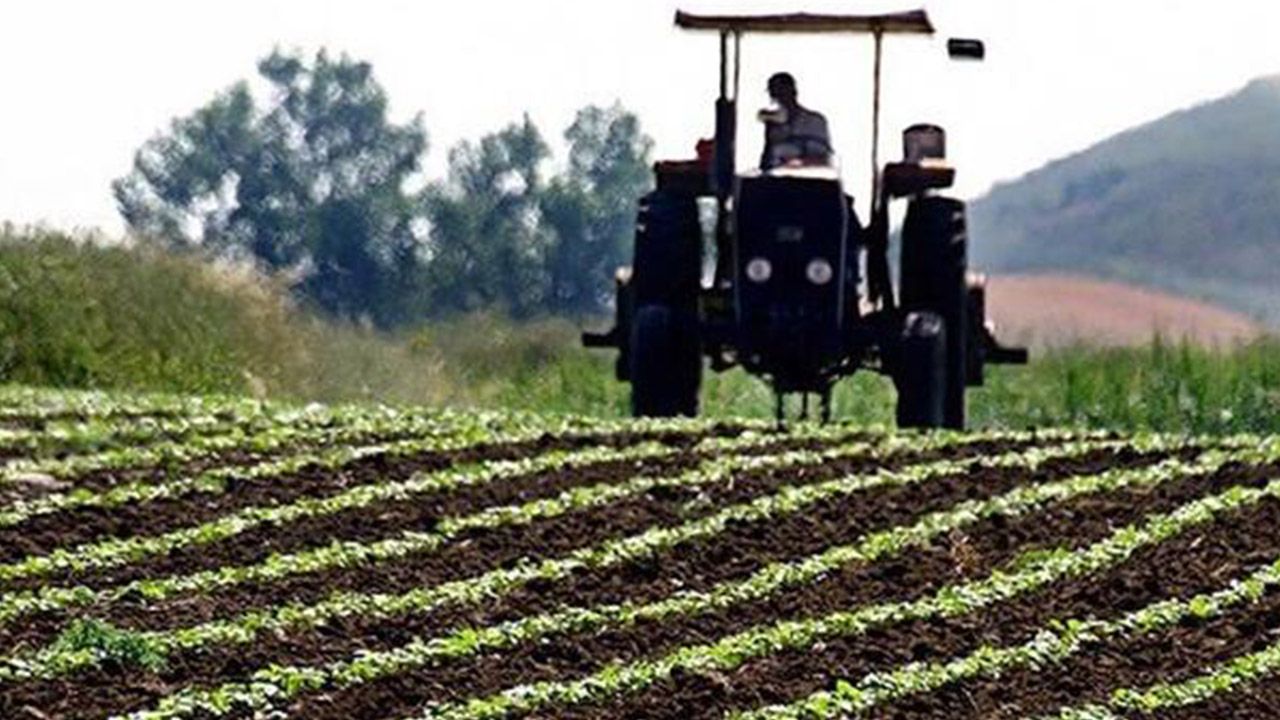 2 milyarlık ödeme bugün çiftçilerin hesaplarına yatıyor