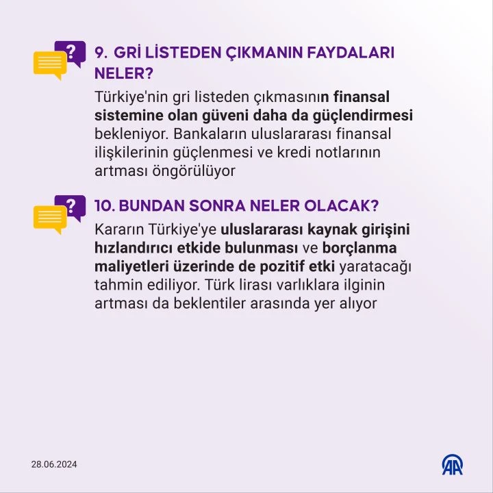 Türkiye'yi gri listeden çıkaran başarı iki operasyonda gizli