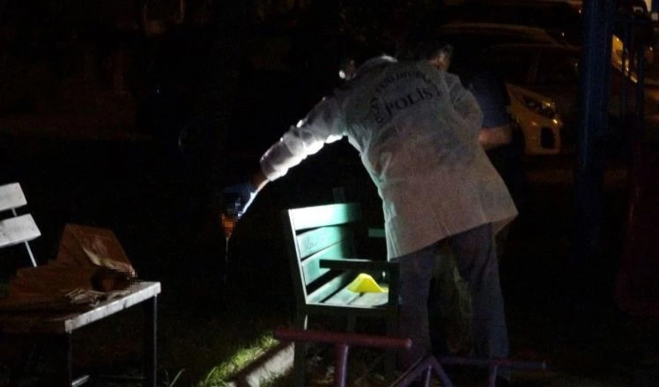 Arkadaşını bıçakla katletti, bir kişiyi de yaraladı! Savunması şoke etti: Ben değil içki yaptı - 1. Resim