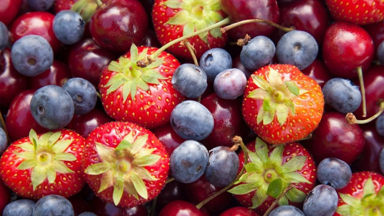 Canan Karatay 'sıcak havalarda sakın tüketmeyin' dedi! Ağız sulandıran yaz meyveleri tehlike listesinde yer aldı