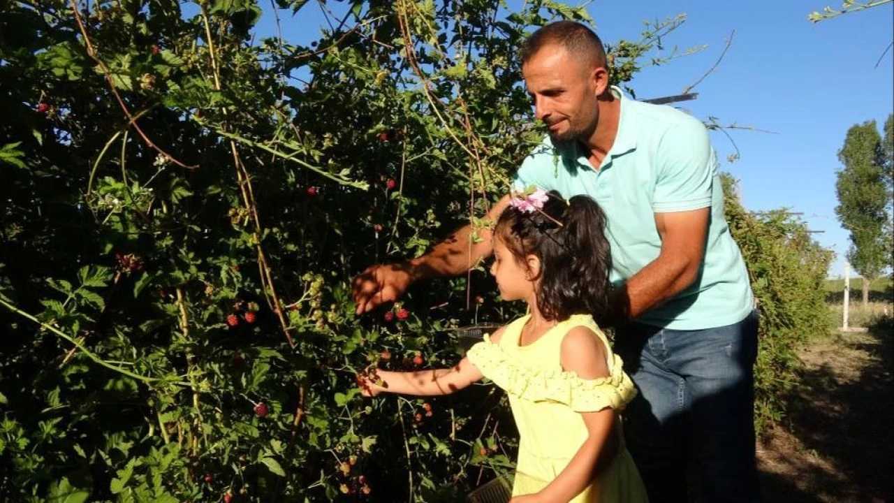 Kilosu 150 lira! Hobi olarak başladı şimdi kapış kapış gidiyor!