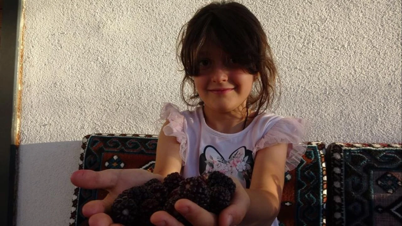 Kilosu 150 lira! Hobi olarak başladı şimdi kapış kapış gidiyor!