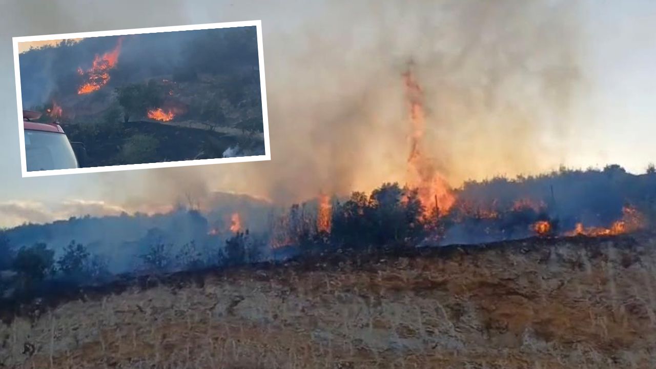 Gaziantep&#039;te orman yangını: 5 dönümlük arazi küle döndü