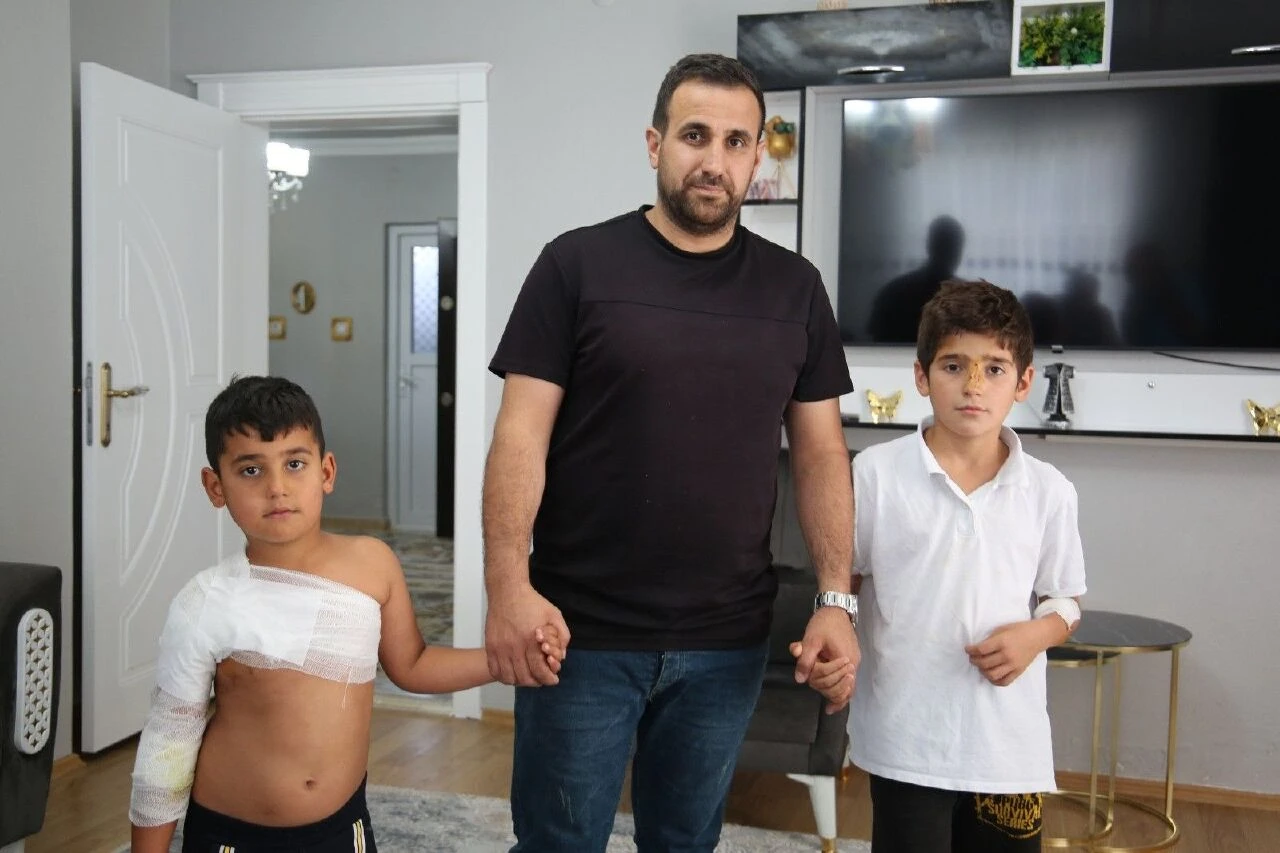Muş'ta başıboş köpekler dehşet saçtı: İki kardeşi köpeklerin elinden zor kurtardılar