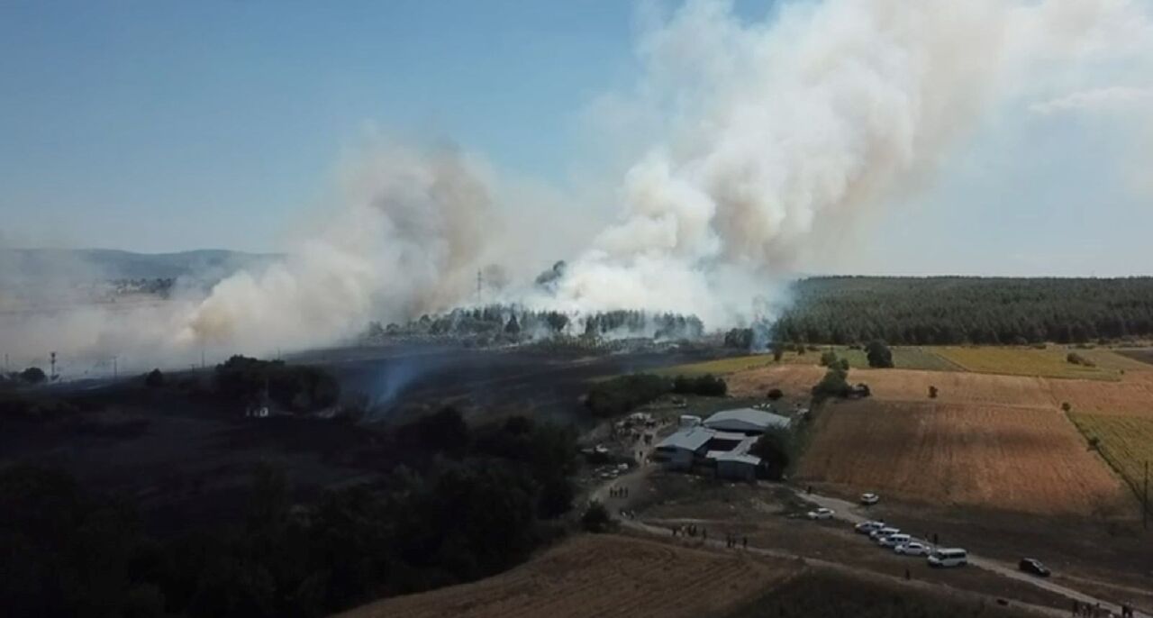 Nilüfer'de yangın çıktı, müdahale sürüyor - Aktüel