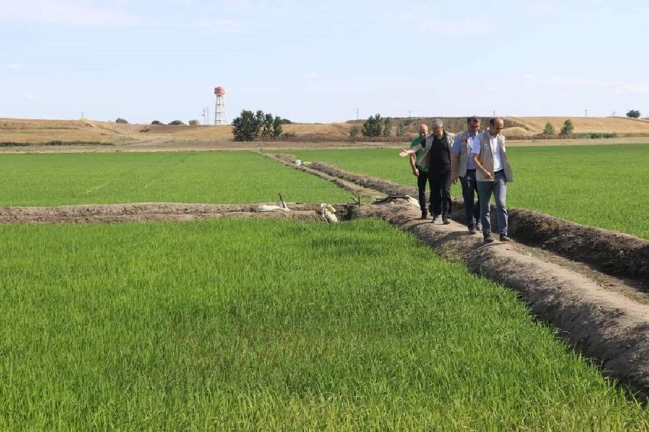 Tunca Nehri’ni kuraklık vurdu: Kontrollü sulamaya geçildi - 3. Resim