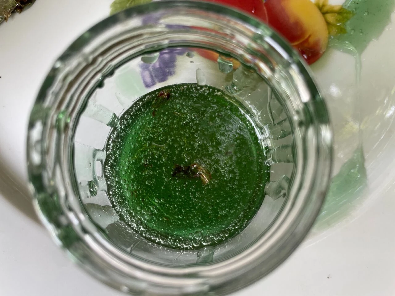 200 arı kovanının arasında buldu, görünce şaşkına döndü! Yemyeşil çıkan balın kilosu dudak uçuklattı - 1. Resim