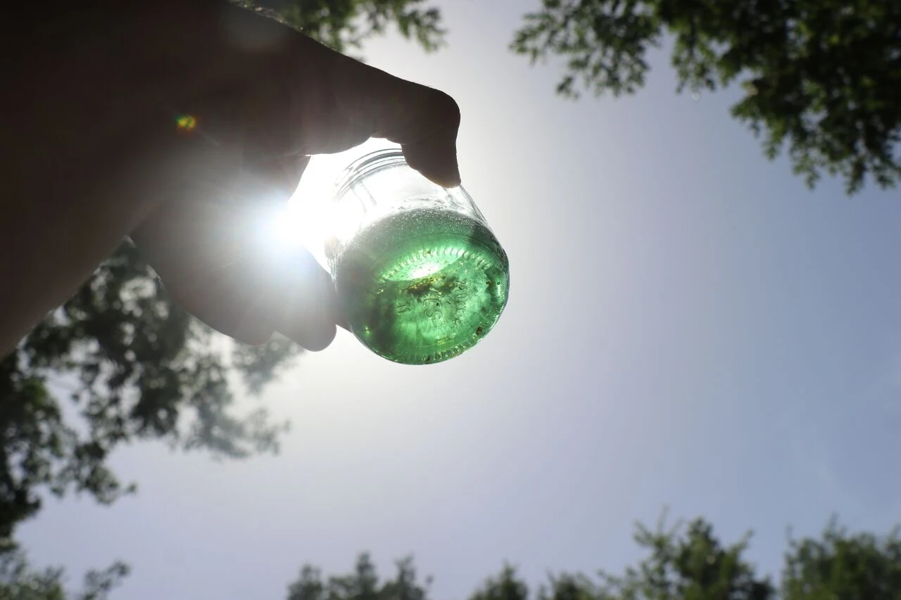 200 arı kovanının arasında buldu, görünce şaşkına döndü! Yemyeşil çıkan balın kilosu dudak uçuklattı - 3. Resim