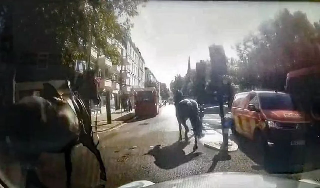 Atlar yeniden firarda! Şehri birbirine kattılar, o anlar kameraya böyle yansıdı