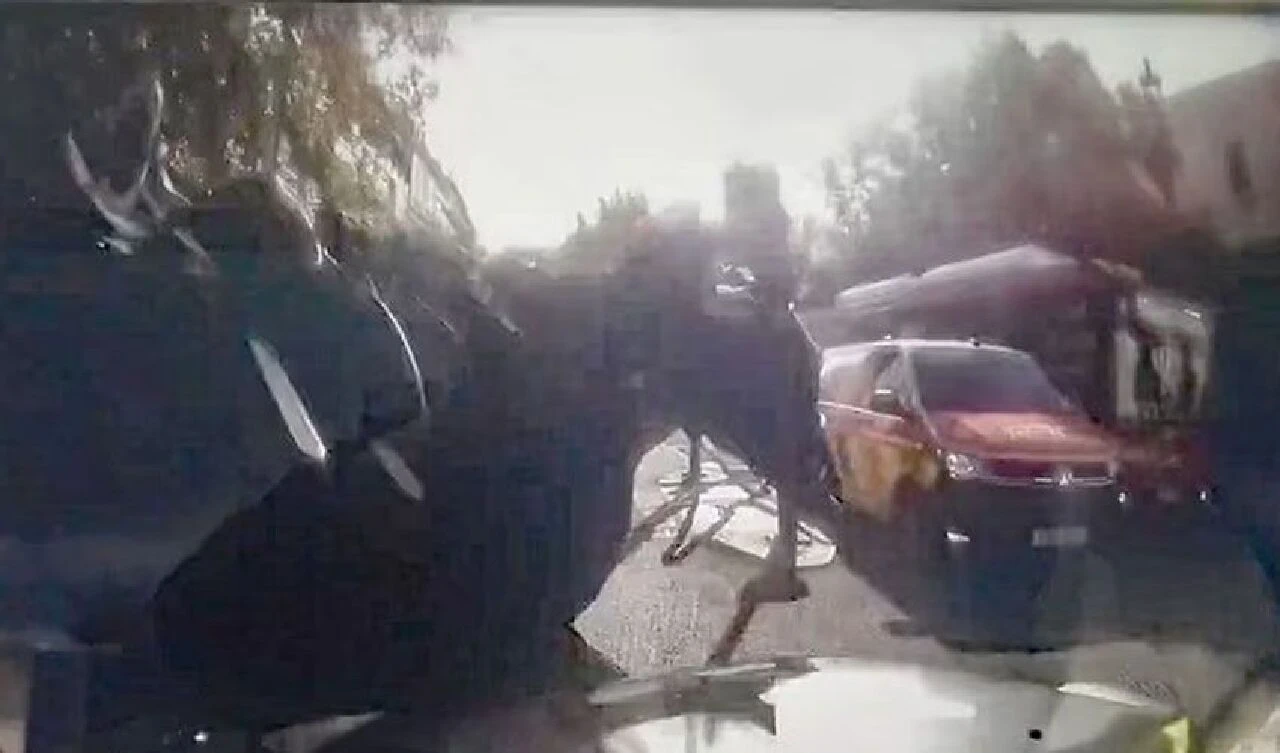 Atlar yeniden firarda! Şehri birbirine kattılar, o anlar kameraya böyle yansıdı