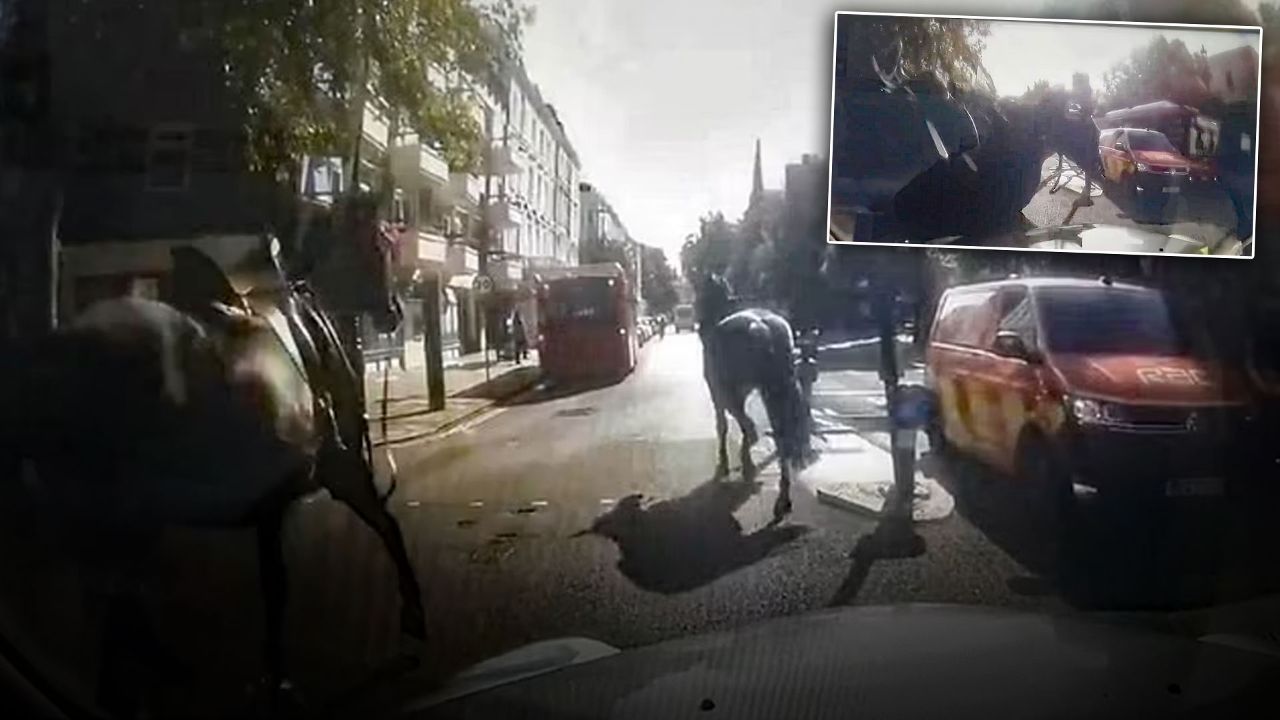 Atlar yeniden firarda! Şehri birbirine kattılar, o anlar kameraya böyle yansıdı - Dünya