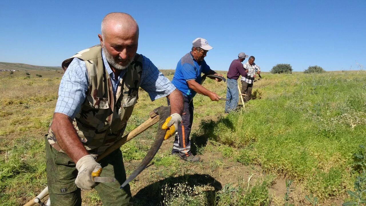 Bu işi yapan sadece 3 kişi kaldı! 45 bin liraya çalışacak işçi bulamıyorlar