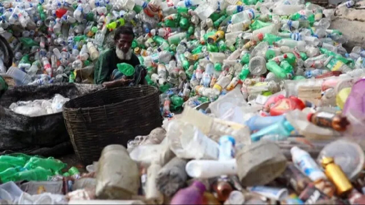 Dünyayı 'atık'tan kurtaracak çözüm... Plastik yiyen bakteri ve mantarlar! - 2. Resim