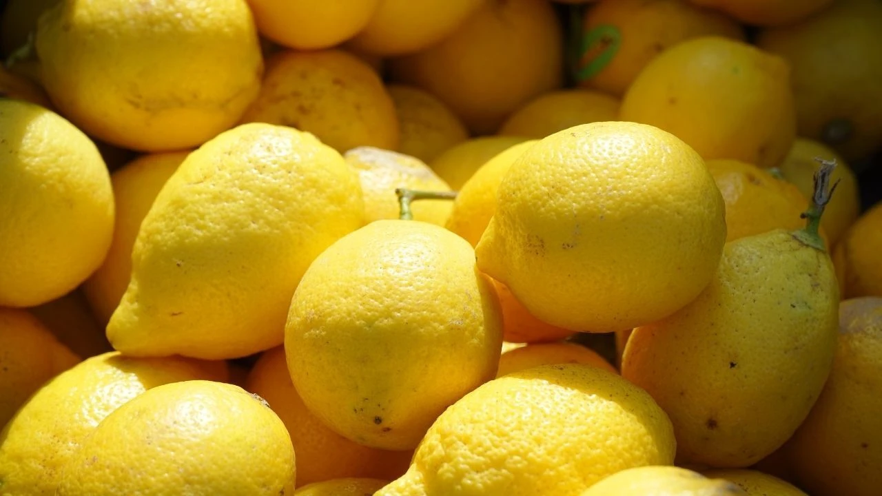 Haziran ayında en büyük vurgun kirazda yaşandı! Üreticiden tüketiciye 4 kat artış - 2. Resim