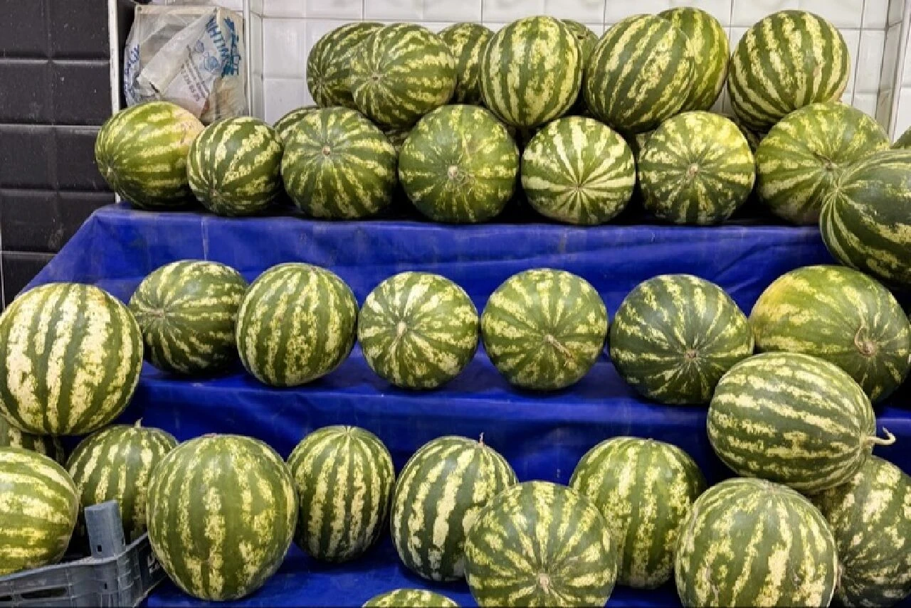 Karpuz seçme uzmanlarını üzecek buluş! Artık onu da yapay zeka seçecek - 3. Resim