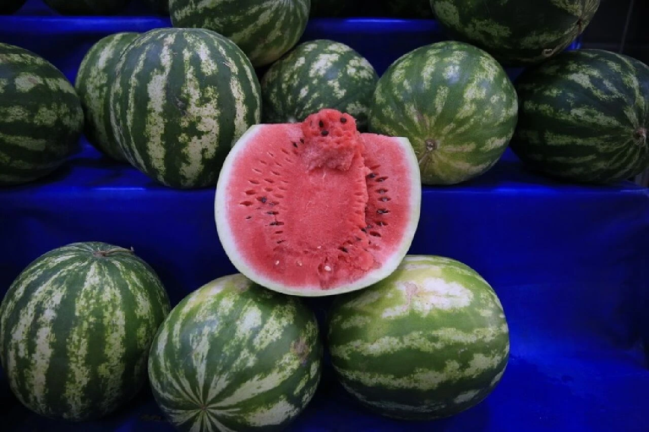 Karpuz seçme uzmanlarını üzecek buluş! Artık onu da yapay zeka seçecek - 2. Resim