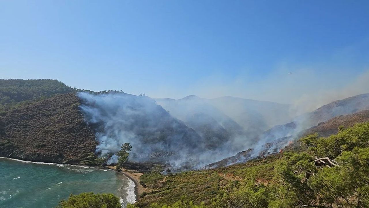 Marmaris&#039;teki orman yangınıyla ilgili 3 kişi gözaltında