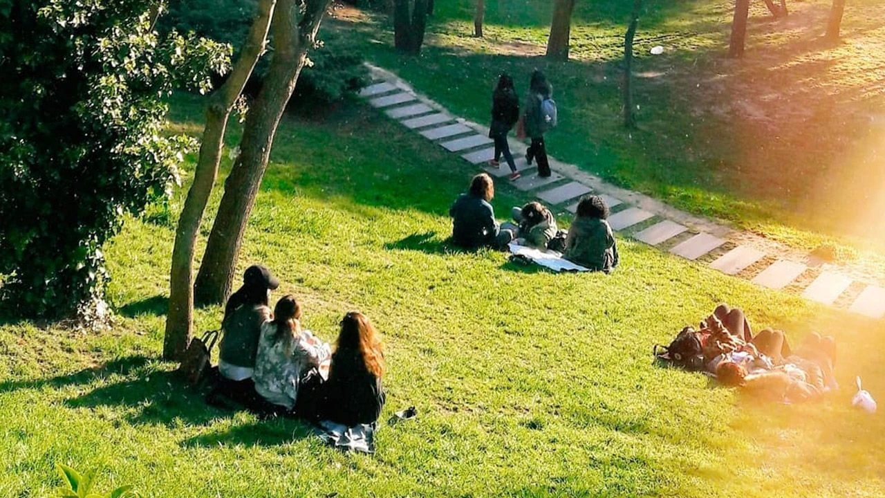 Validen "çilingir sofrası" uyarısı! Sosyal medya bu sözleri konuşuyor - 2. Resim