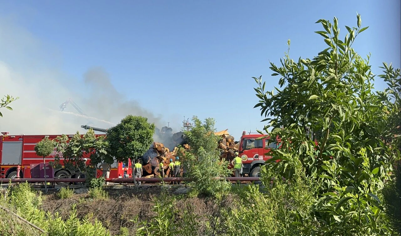 Adana'da ahşap panel üretim fabrikası alevlere teslim oldu! Ekiplerin müdahalesi sürüyor