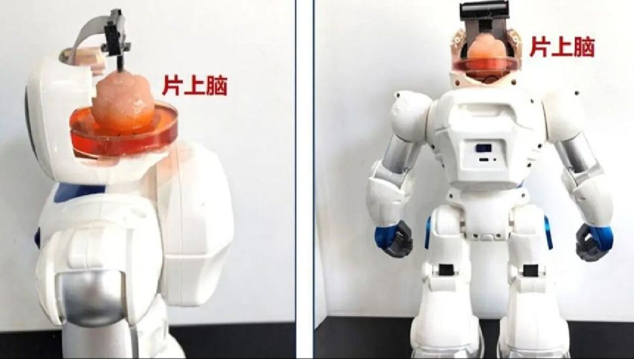 Wielki krok ze świata nauki: Powstaje robot sterowany ludzkim mózgiem – rysunek 1