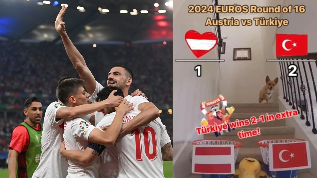 Bu köpek Şampiyonlar Ligi sonuçlarının hepsini biliyor! İşte Türkiye-Avusturya maçının skoru... - 3. Resim