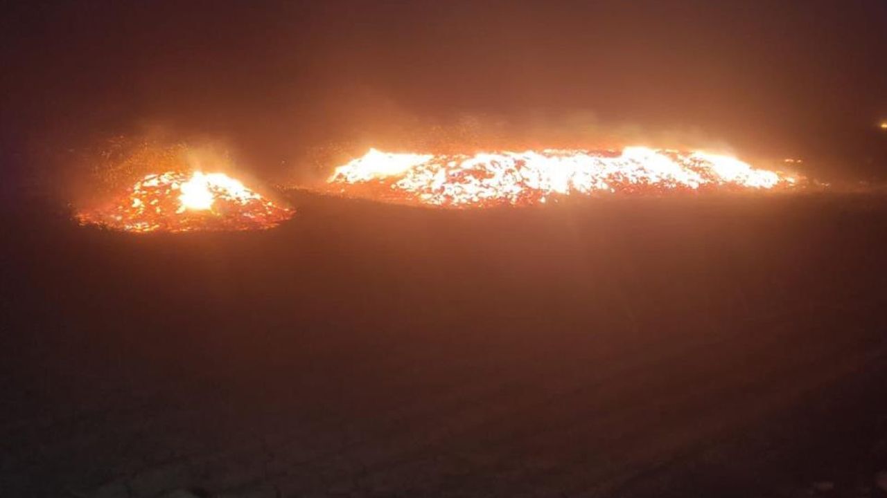 Diyarbakır&#039;da gece yarısı korkutan yangın! 