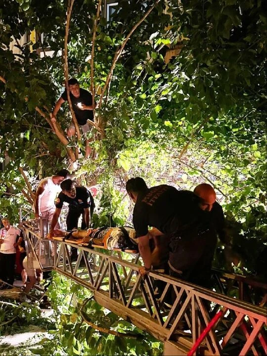 Muğla'da inanılmaz görüntüler! Kaza yapan sürücü 5 metrelik ağaca uçtu