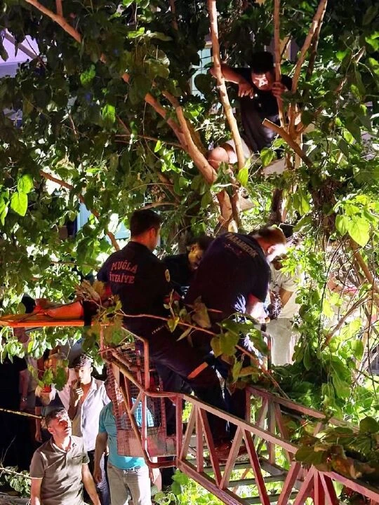 Muğla'da inanılmaz görüntüler! Kaza yapan sürücü 5 metrelik ağaca uçtu