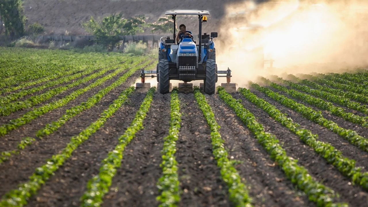 Tarımsal hasılada Türkiye başarısı! Avrupa'da 1. dünyada ilk 10'da