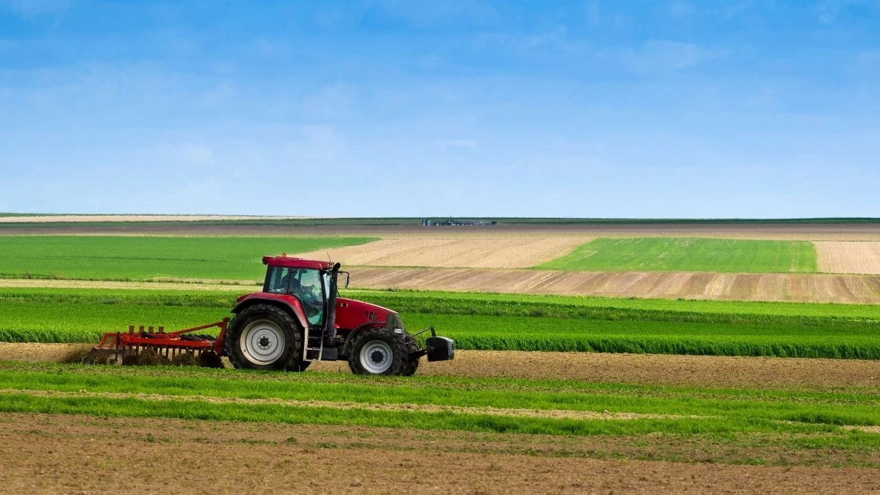 Tarımsal hasılada Türkiye başarısı! Avrupa'da 1. dünyada ilk 10'da