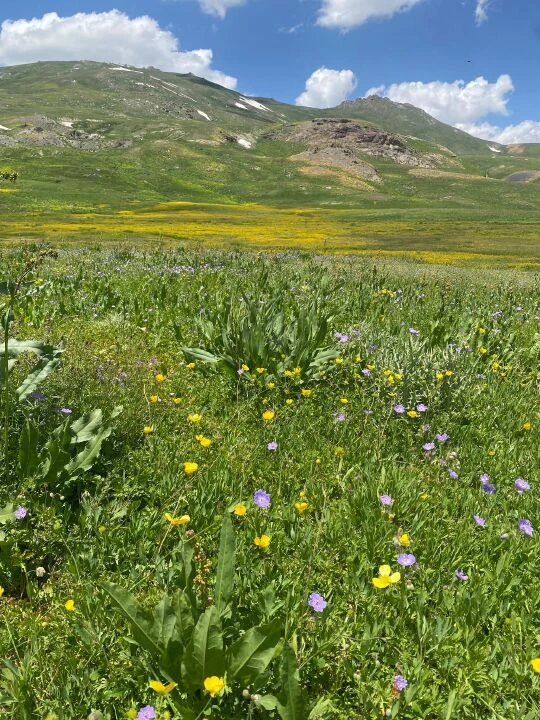 Kamp tutkunlarının yeni rotası Hakkari Cilo Dağı! Cennet Cehennem Vadisi kampçılarını bekliyor - 4. Resim