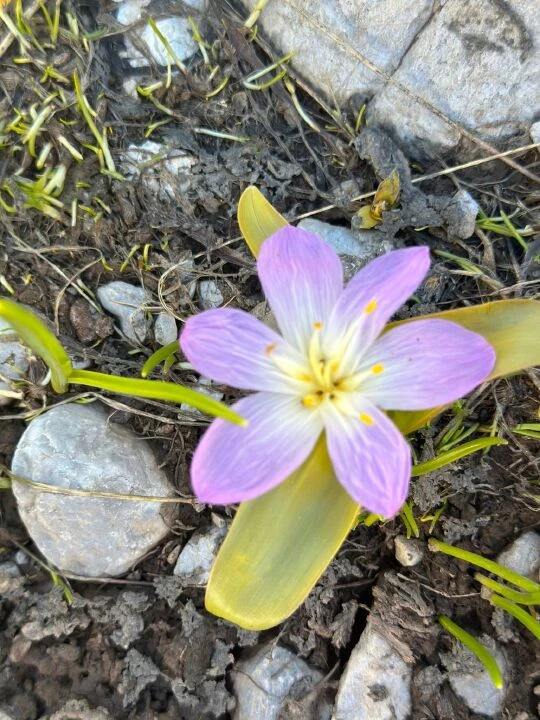 Kamp tutkunlarının yeni rotası Hakkari Cilo Dağı! Cennet Cehennem Vadisi kampçılarını bekliyor - 2. Resim