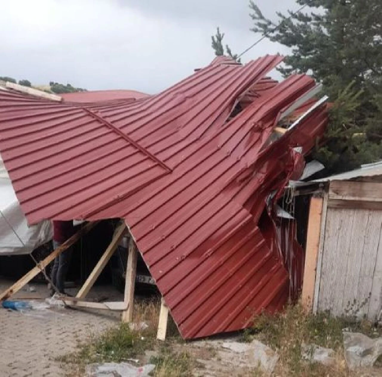 Gümüşhane'de şiddetli fırtına! Çatılar uçtu, ağaçlar devrildi  - 3. Resim