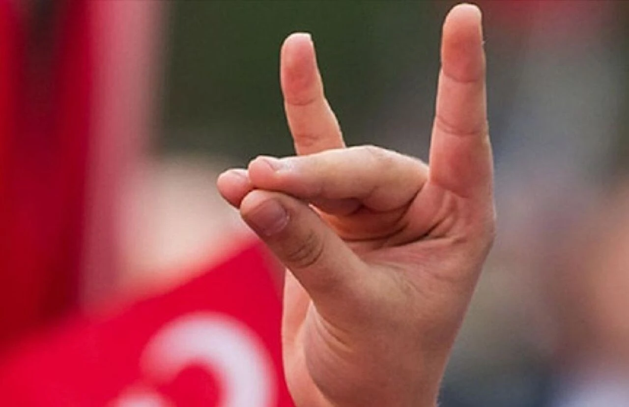 Işığın içinden çıktı, Türkleri ayağa kaldırdı! Orduya yol gösteren kurdun hikayesi - 4. Resim