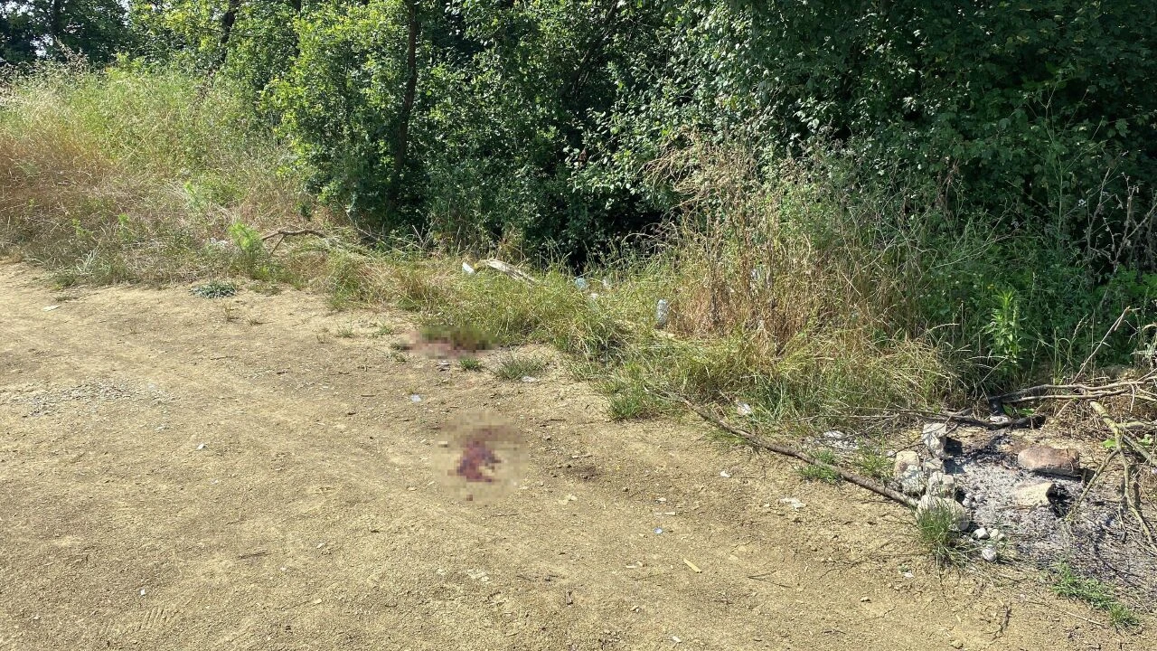 Nişanlısına küfür eden komşusunu gözünü kırpmadan öldürdü! Cezası belli oldu