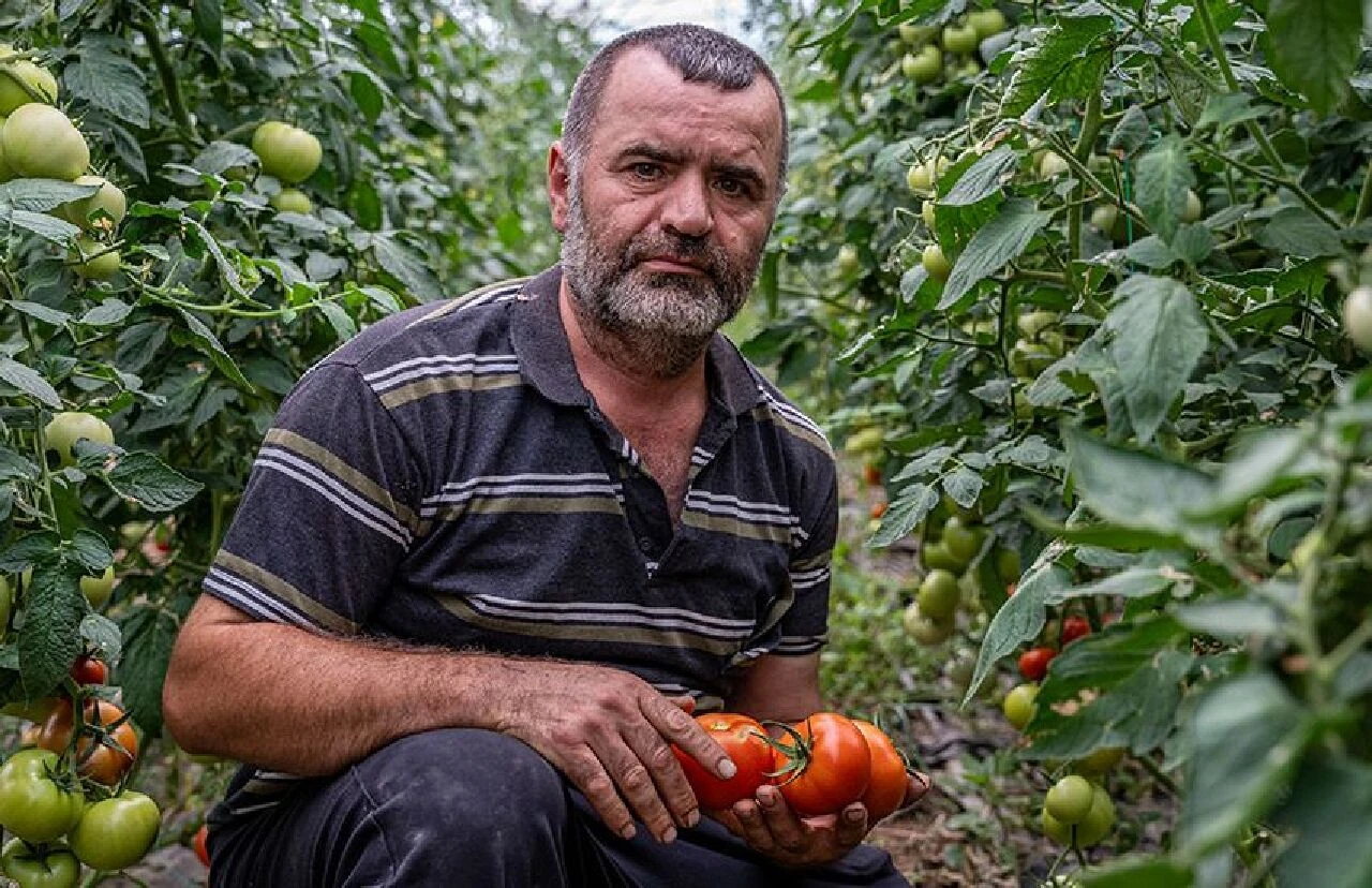 Öğretmenliği bıraktı, çiftçiliğe adım attı: İşçilerine öğretmen maaşı veriyor - 2. Resim