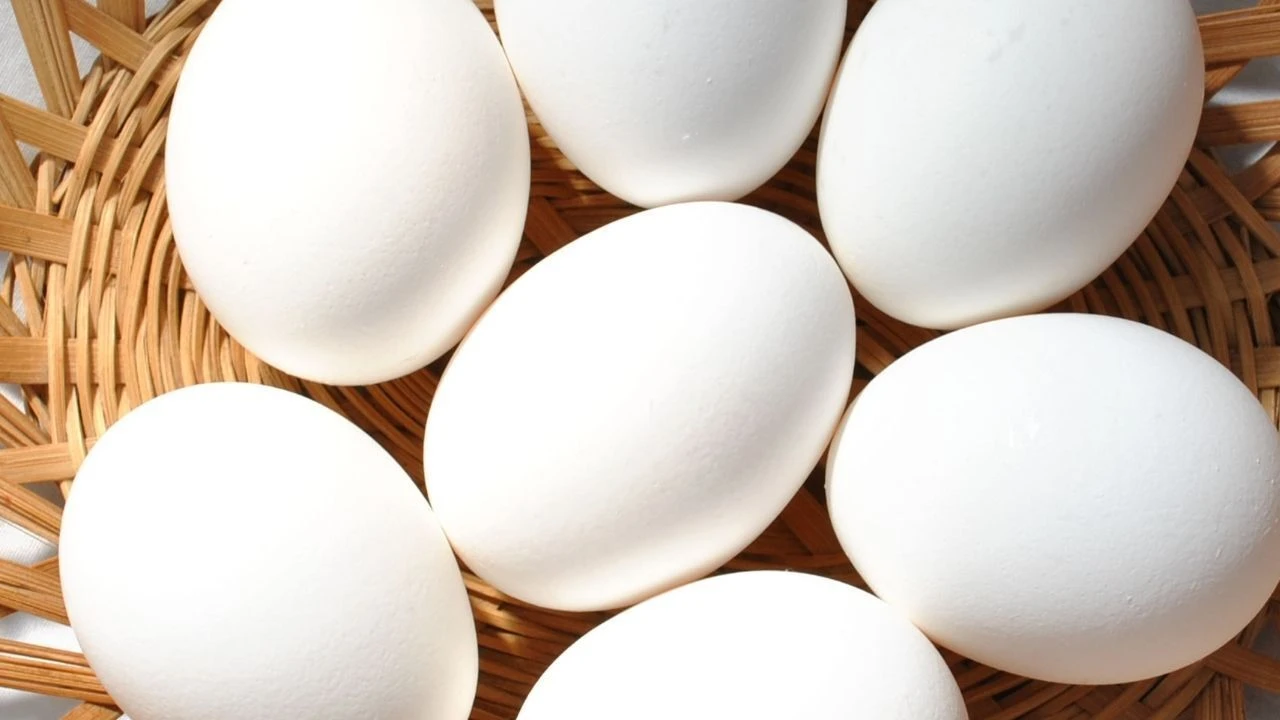 Türkiye'nin birçok iline gönderim yapan ünlü yumurta markası iflas etti! Vergi borcu ortaya çıktı