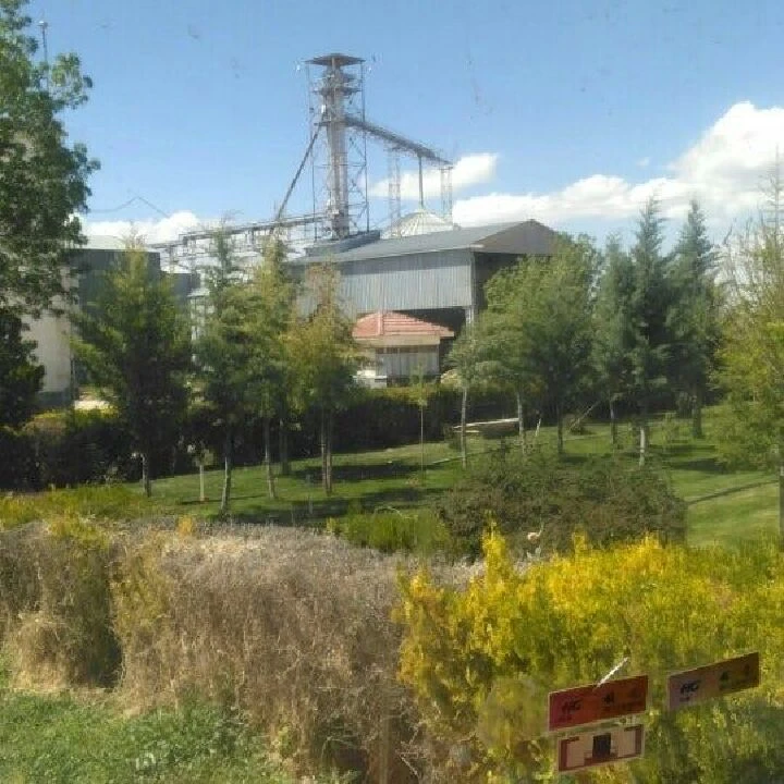 Türkiye'nin birçok iline gönderim yapan ünlü yumurta markası iflas etti! Vergi borcu ortaya çıktı